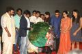 Savithri Movie Audio Launch Stills