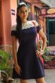 Actress Sanam Shetty @ Sawaari Movie Press Meet Stills