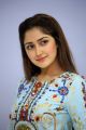 Actress Sayyeshaa Saigal Images @ Chinna Babu Success Meet
