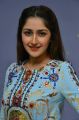 Actress Sayesha Latest Images @ Chinababu Success Meet