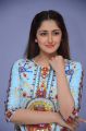 Actress Sayyeshaa Saigal Images @ Chinna Babu Success Meet