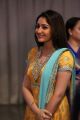 Actress Sayyeshaa Saigal Cute Pics @ Soundararaja Wedding Reception
