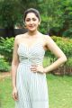 Actress Sayyeshaa Saigal New Pics @ Ghajinikanth Press Meet