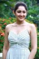 Ghajinikanth Actress Sayesha Saigal New Pics