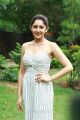 Actress Sayesha Saigal New Pics @ Ghajinikanth Press Meet