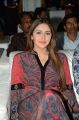 Actress Sayesha Saigal Cute Photos @ Bandobast Movie Pre Release