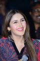 Actress Sayyeshaa Saigal Cute Photos @ Bandobast Pre Release Event