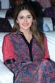 Actress Sayyeshaa Saigal Cute Photos @ Bandobast Pre Release Event