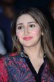 Actress Sayyeshaa Saigal Cute Photos @ Bandobast Movie Pre Release