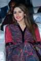 Actress Sayesha Saigal Cute Photos @ Bandobast Movie Pre Release