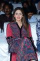 Actress Sayyeshaa Saigal Cute Photos @ Bandobast Movie Pre Release