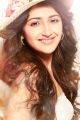Actress Sayesha Saigal Portfolio Images