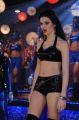 Actress Scarlett Wilson Hot & Spicy Images at Item Song Shoot in Chandi Movie