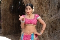 Seema Tapakai Poorna Hot Pics Photos Stills