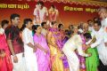 Seeman Kayalvizhi Marriage Photos