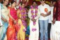 Thamizhachi Thangapandian @ Seeman Kayalvizhi Marriage Photos