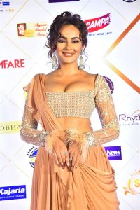 Telugu Actress Seerat Kapoor Images