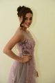 Telugu Actress Seerat Kapoor Hot Photos in Long Dress