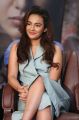 Seerat Kapoor Latest Photos @ Raju Gari Gadhi 2 Success Meet