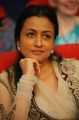 Namrata Shirodkar at Seetamma Vakitlo Sirimalle Chettu Platinum Disc Function Photos