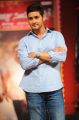 Mahesh Babu at Seetamma Vakitlo Sirimalle Chettu Platinum Function Photos