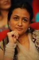 Namrata Shirodkar at Seetamma Vakitlo Sirimalle Chettu Platinum Function Photos