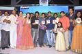 Seethamma Andalu Ramayya Sitralu Audio Launch Stills