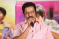 Raja Ravindra @ Seethamma Andalu Ramayya Sitralu Success Meet Stills