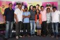 Seethamma Andalu Ramayya Sitralu Success Meet Stills