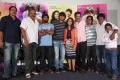 Seethamma Andalu Ramayya Sitralu Success Meet Stills