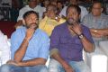 Seethamma Vakitlo Sirimalle Chettu Audio Launch Photos