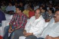 Seethamma Vakitlo Sirimalle Chettu Audio Launch Function Stills