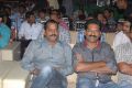 Seethamma Vakitlo Sirimalle Chettu Audio Launch Photos