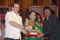 Krishna, Vijaya Nirmala at Seethamma Vakitlo Sirimalle Chettu Triple Platinum Photos