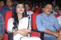 Samantha at Seethamma Vakitlo Sirimalle Chettu Triple Platinum Photos