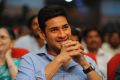 Mahesh Babu at Seethamma Vakitlo Sirimalle Chettu Triple Platinum Photos