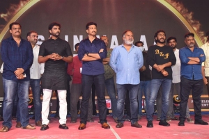 Seetimaarr Pre Release Event Photos