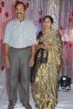 Music Director Sekhar Chandra Wedding Reception Photos