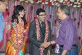 Gemini Kiran @ Sekhar Chandra Wedding Reception Photos