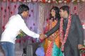 Sekhar Chandra Wedding Reception Photos