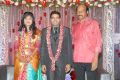 Sekhar Chandra Wedding Reception Photos