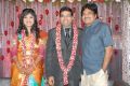 Sekhar Chandra Wedding Reception Photos