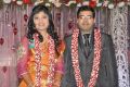 Music Director Sekhar Chandra-Madhuri's Wedding Reception