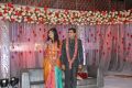 Sekhar Chandra Wedding Reception Photos