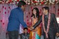 Sekhar Chandra Wedding Reception Photos