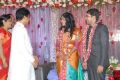 Sekhar Chandra Wedding Reception Photos