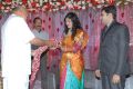 Sekhar Chandra Wedding Reception Photos