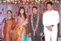 Sekhar Chandra Wedding Reception Photos