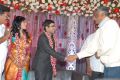 Sekhar Chandra Wedding Reception Photos