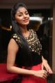 Actress Sanam Shetty @ Selvandhan Movie Audio Launch Stills